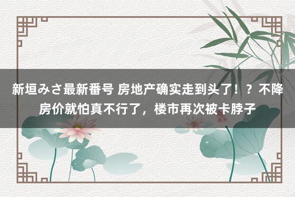 新垣みさ最新番号 房地产确实走到头了！？不降房价就怕真不行了，楼市再次被卡脖子