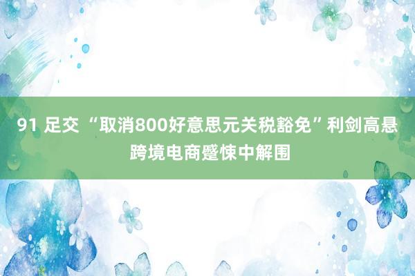 91 足交 “取消800好意思元关税豁免”利剑高悬 跨境电商蹙悚中解围