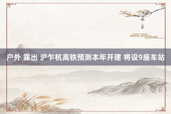 户外 露出 沪乍杭高铁预测本年开建 将设9座车站
