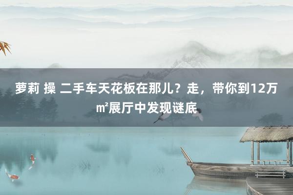 萝莉 操 二手车天花板在那儿？走，带你到12万㎡展厅中发现谜底