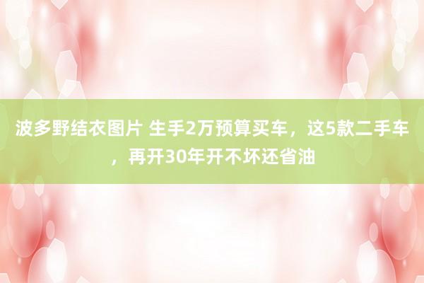 波多野结衣图片 生手2万预算买车，这5款二手车，再开30年开不坏还省油