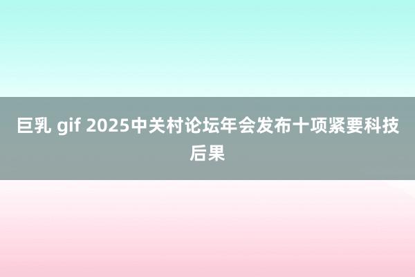 巨乳 gif 2025中关村论坛年会发布十项紧要科技后果