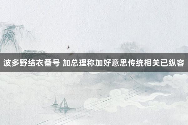 波多野结衣番号 加总理称加好意思传统相关已纵容