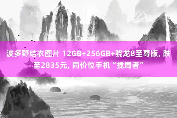 波多野结衣图片 12GB+256GB+骁龙8至尊版， 跌至2835元， 同价位手机“搅局者”