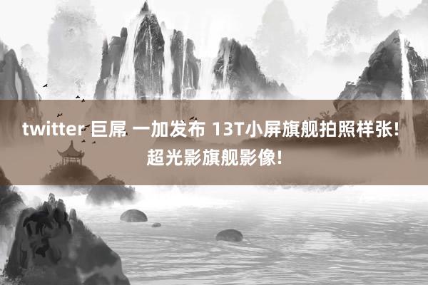 twitter 巨屌 一加发布 13T小屏旗舰拍照样张! 超光影旗舰影像!