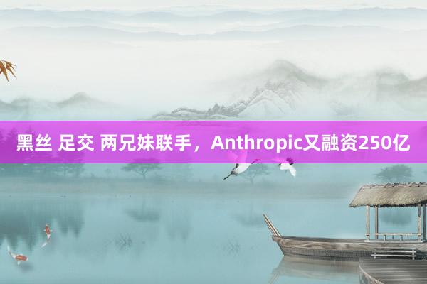 黑丝 足交 两兄妹联手，Anthropic又融资250亿